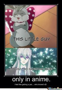 Only In Anime