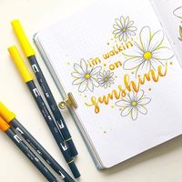 Another daisy, yes I love daisy😍, anyone? This wonderful idea is from @raelynns.bujo🌼. Visit her feed if you want to know the pens used😉. ┏(^0^)┛ Quote of The Day 🐝 “You'll never find a rainbow🌈 if you're looking down🙄.” - Charlie Chaplin✍️. #calligraphy #bujo #bujospread #bujomonthly #tombow