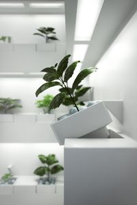 HYDRO - Working Final image