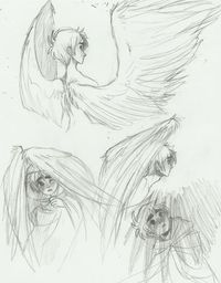 for feathers great and small