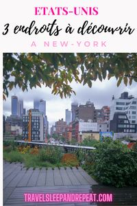 Et oui vous l’avez bien lu, nous allons parler des 3 endroits à absolument découvrir lors de votre prochain voyage à New-York. Découvrez le Dumbo, la Highline ou encore Williamsburg. Il existe de nombreux endroits à découvrir à NYC