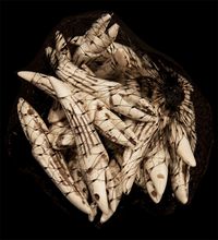 Bag of 18 Teeth