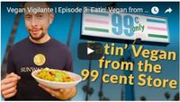 Welcome to the third episode of the Vegan Vigilante. This week, Sunwarrior challenged Jason Wrobel to up his game at the 99 cent store to find his ingredients.