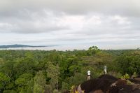 The immensity of the Amazon Rainforest