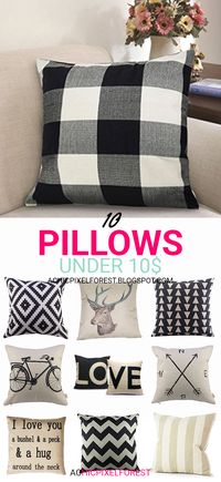 10 Pillows Under 10$