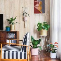 vasos com plantas para decoração de sala#decoraçãocomplantas #decoraçãocomplantassala #decoraçãocomplantasemapartamento
