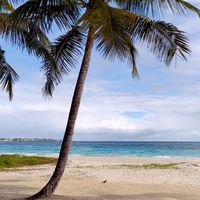 From swim-up bars to bowling and beach walks with The One You Love, you can also discover 21 restaurants, 11 bars and two Sandals Resorts…Barbados is calling. Videography: Emanuele & Victoria
