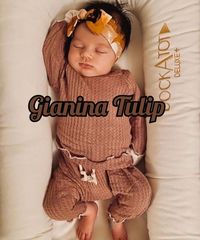 Gianina Tulip