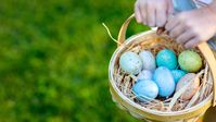 How To Have A Virtual Easter Egg Hunt & Keep Your Family Connected