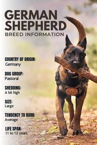 Alsatian or German Shepherd Dog breed information includes training, price, temperament, facts, photos and many more. Visit dogexpress.in for more breeds information.