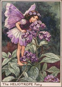The Heliotrope Fairy Cross Stitch Pattern Pdf Instant | Etsy
