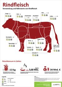 Lusini Infografik - Rindfleisch Wo befindet sich die Nuss, wofür eignet sich die Unterschale und was steckt eigentlich drin? Lusini erklärt.