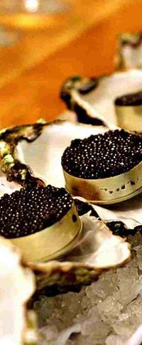 Billionaire Club / karen cox. The Glamorous Life. Caviar ♥✤