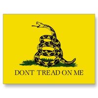 revolutionary war flag
