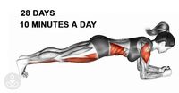 No need to drag yourself to the gym or join any crazy exercise classes, achieve a healthier, happier body without leaving the house! Before you get started, learn why exercise is key to daily health. Why is exercise crucial? Exercise doesn’t only help you burn fat, according to the Harvard Medical School; ‘Regular exercise conditions the... View Article