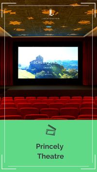 The capital is complemented by a princely experience. Take a virtual tour to the castle of Vaduz and get cinematographical look life behind the castle walls. Combined with the new train of the Citytrain, a visit to the "Old Cinema" is the ideal recreational pleasure for young and old.