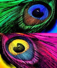 WORLD OF HAPPY COLOURS — Happy colour blog! :)(: ...