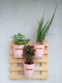 Vaso autoirrigável para jardim vertical em apartamentos #vasoautoirrigável #vasoautoirrigávelcomofazer #vasoautoirrigávelpet