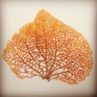 Meredith Woolnough Embroidery | SheWalksSoftly
