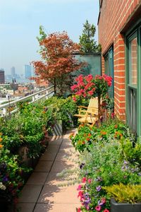Durable fiberglass planters disappear against the lush blooms on this New York terrace by Dennis Walker of Urban Green. Boxwood and dwarf evergreens mix with perennials, such as lavender and sage, as well as flowering annuals and tropical plants, including lantana, bougainvillea, petunia, and African daisies | archdigest.com