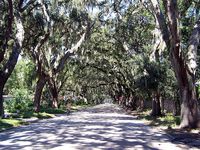 Magnolia Ave., St. Augustine, Florida