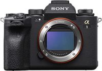 One of the great frustrations of owning a camera is that the different mounts aren’t compatible. You can’t simply buy the best camera body and the best lenses because they might not fit together! However, you might be able to get a ‘Get Out of Jail Free’ card if you’re considering switching from a DSLR to a mirrorless camera. Here’s a guide to your best strategy. #sonya1 #sony #NikonZ9 #Nikon #mirrorless #mirrorlesscameras #sonyvnikon #a1vz9 #cameras