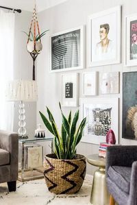 9 plantas de sombra para você cultivar dentro de casa - Casa Vogue | Paisagismo