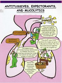 Antitusssives, Expectorants and Mucolytics...