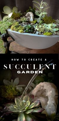 How to Make a Succulent Garden DIY