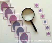 Easter Preschool Activities - Trillium Montessori