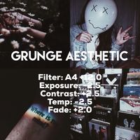 Grunge Aesthetic💡 You all chose this over star signs in a poll on my story! Hope you like it!