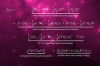 Credit: Shutterstock/R.T. Wohlstadter Standard model Another of physics' reigning theories, the standard model describes the collection of fundamental particles currently thought to make up our universe. The theory can be encapsulated in a main equation called the standard model Lagrangian (named after the 18th-century French mathematician and astronomer Joseph Louis Lagrange).