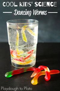 Awesome Kids Science!! Make gummy worms dance. Perfect for Halloween, rainy days, or any time you're in the mood for some seriously cool science.