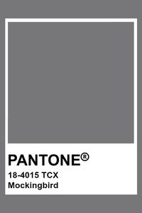 PANTONE 18-4015 TCX Mockingbird #pantone #color #gray
