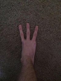 If None Of These Pictures Make You Say "What The Fuck," Nothing Will