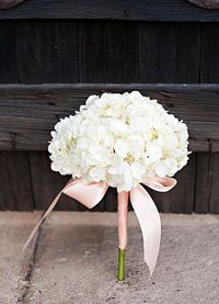 Love the simplicity of a single Hydrangea bloom. The simple shoelace bow is "just" enough for pretty design.