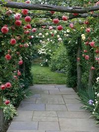 Beautiful french cottage garden design ideas 28