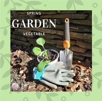School Vegetable Garden #spring #garden #preschool #kindergarden #farming #innovative