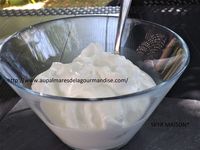 Faire son SKYR Maison *IG Bas* WW* Weight Watchers* Healthy* - Au palmares de la gourmandise