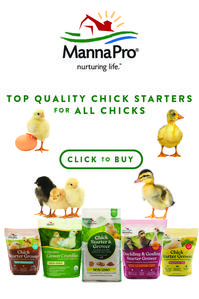 Chick Season is around the corner! Give your young flock a feed packed full of the vitamins and minerals they need for healthy growth and sound development! Sponsored by Manna Pro Homestead.