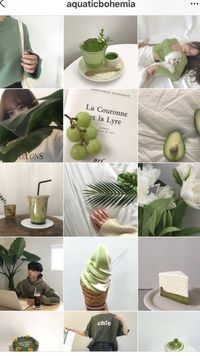 Want to color coordinate your feed? Here's how! And here are some beautiful Instagram color theme ideas to inspire you. Enjoy! #instagramfollowers #freeinstagramfollowers