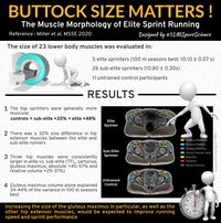 Do you love a big bum??? #bum #training #rehab #physiotherapy #highperformancesport #personaltraining