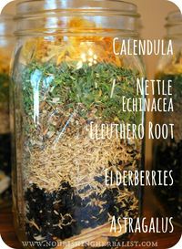 Immunity-Boosting Elderberry Tincture | Just what you need for cold/flu season!