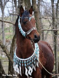 horse costume