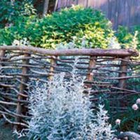 Have fun with sticks — transform them into useful, attractive wattle and wickets for a garden fence or trellis. https://www.motherearthnews.com/organic-gardening/make-simple-garden-fences-and-trellises-zmaz07amzsel https://www.motherearthnews.com/organic-gardening/make-simple-garden-fences-and-trellises-zmaz07amzsel