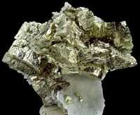 Cubic Pyrite crystals on Quartz, Bou N`has mine, Morocco. Size 7 cm. Spirifer specimen. M. Wikiera photo.