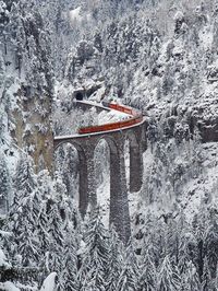 Tren