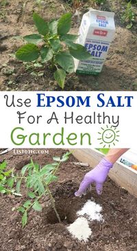 20 Insanely Clever Gardening Tips And Ideas