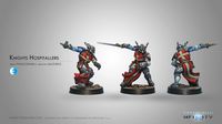 Knights Hospitallers (MULTI Rifle)