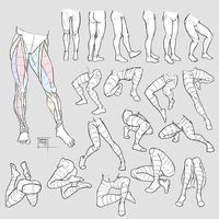 🎨 Daily art tips - 60k+ sur Instagram : Legs studies, try to practice every part of the body everything matters in art :) . . Credits to @damaimikaz . . Follow…